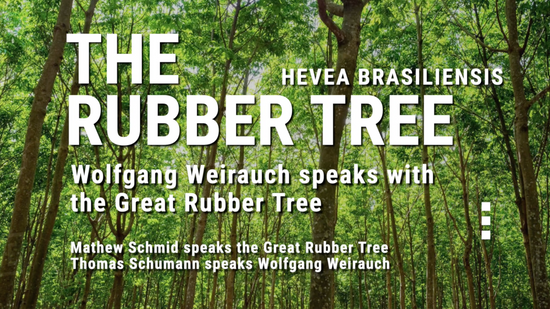 The Rubber Tree